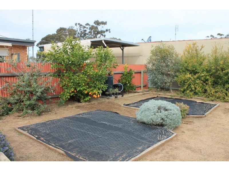 19 Flynn St, Berrigan NSW 2712