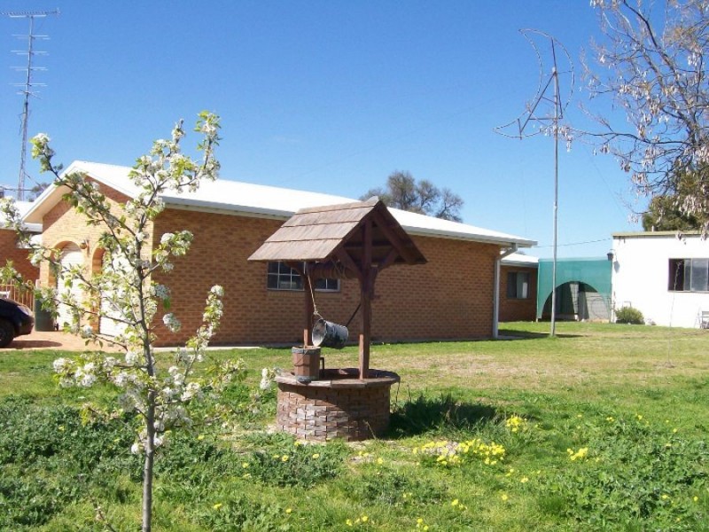 53 Buller St, Oaklands NSW 2646