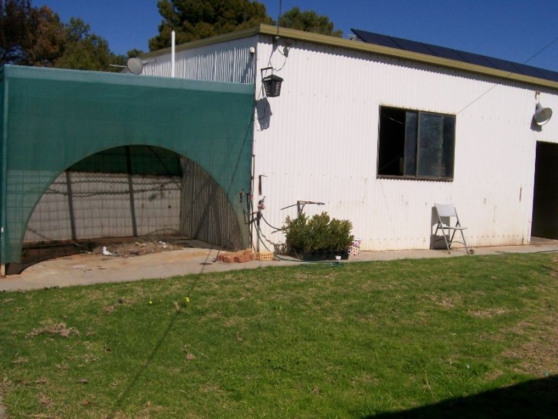 53 Buller St, Oaklands NSW 2646