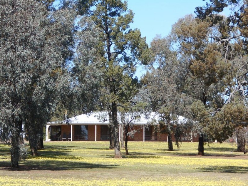 196 Ratcliffs Rd, Berrigan NSW 2712