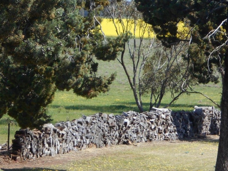 196 Ratcliffs Rd, Berrigan NSW 2712