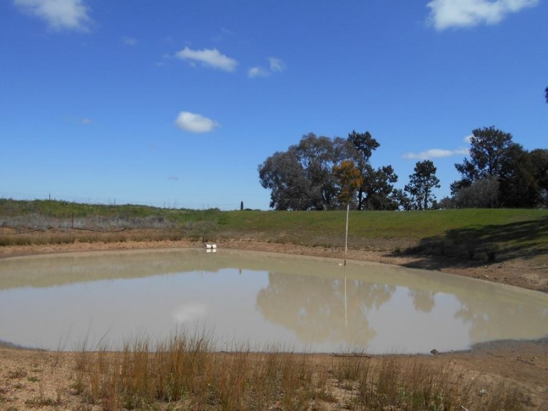 196 Ratcliffs Rd, Berrigan NSW 2712