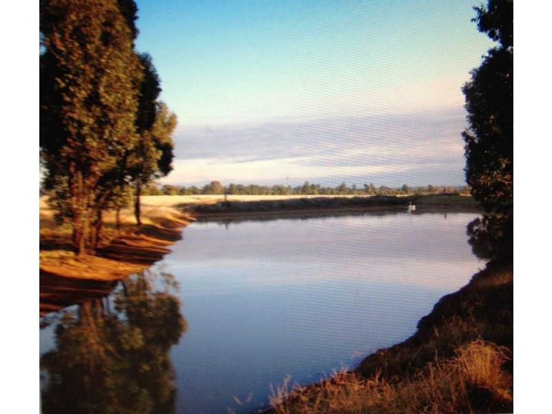 196 Ratcliffs Rd, Berrigan NSW 2712