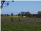 196 Ratcliffs Rd, Berrigan NSW 2712