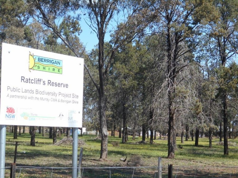 196 Ratcliffs Rd, Berrigan NSW 2712