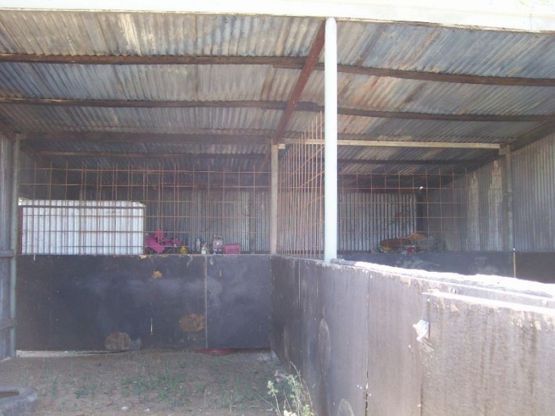 1 Corcoran St, Berrigan NSW 2712