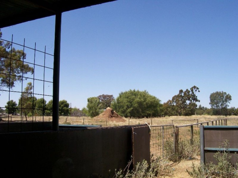 1 Corcoran St, Berrigan NSW 2712