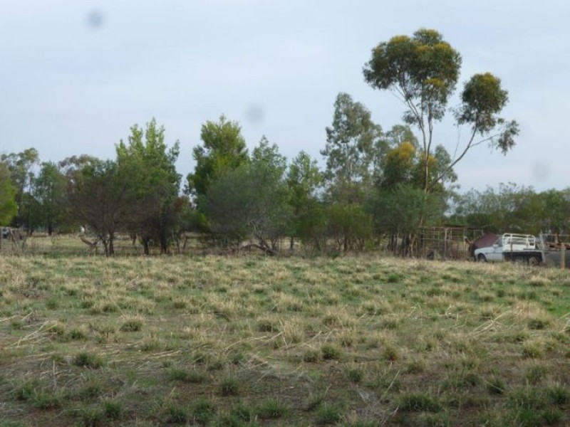 4 Thornber St, Oaklands NSW 2646