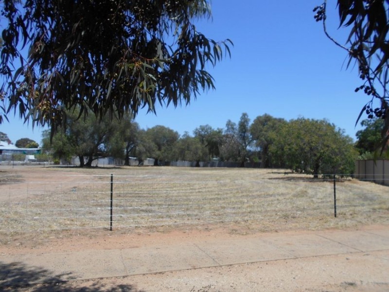 53 Jerilderie St, Berrigan NSW 2712