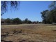 53 Jerilderie St, Berrigan NSW 2712