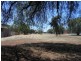 53 Jerilderie St, Berrigan NSW 2712