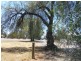 53 Jerilderie St, Berrigan NSW 2712