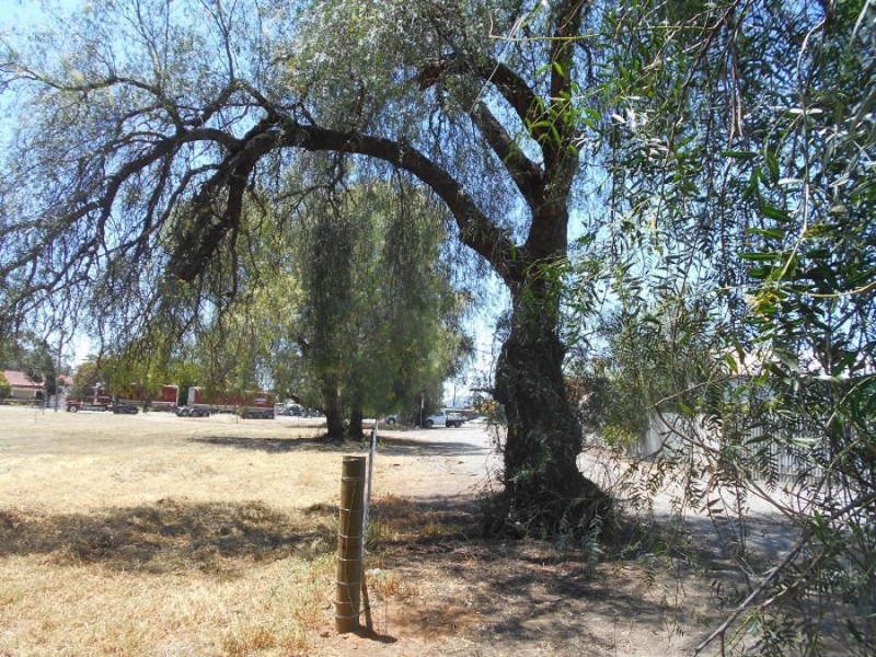 53 Jerilderie St, Berrigan NSW 2712