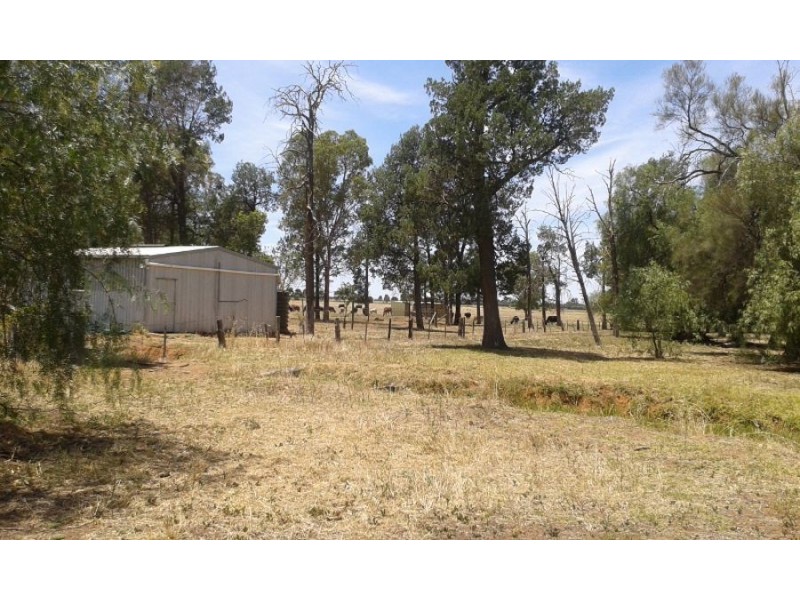 “LOCHABAR”, Finley NSW 2713