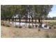“LOCHABAR”, Finley NSW 2713