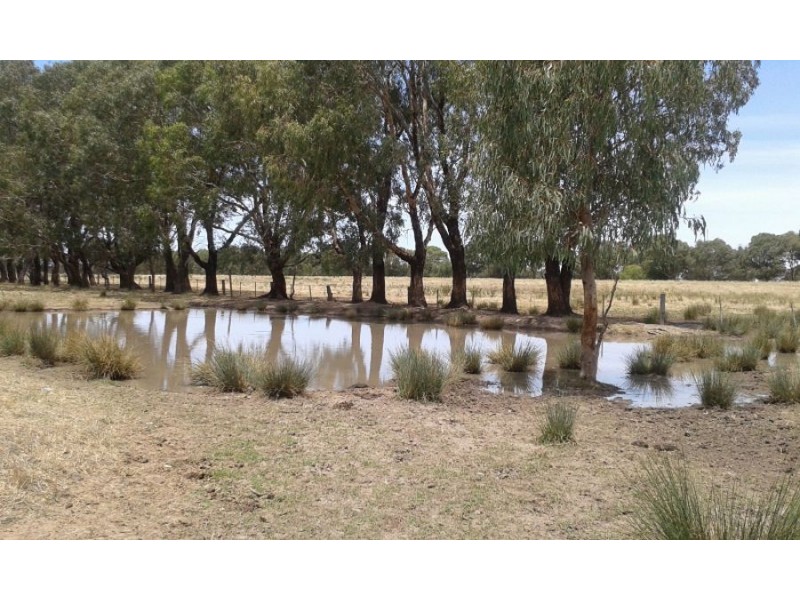 “LOCHABAR”, Finley NSW 2713