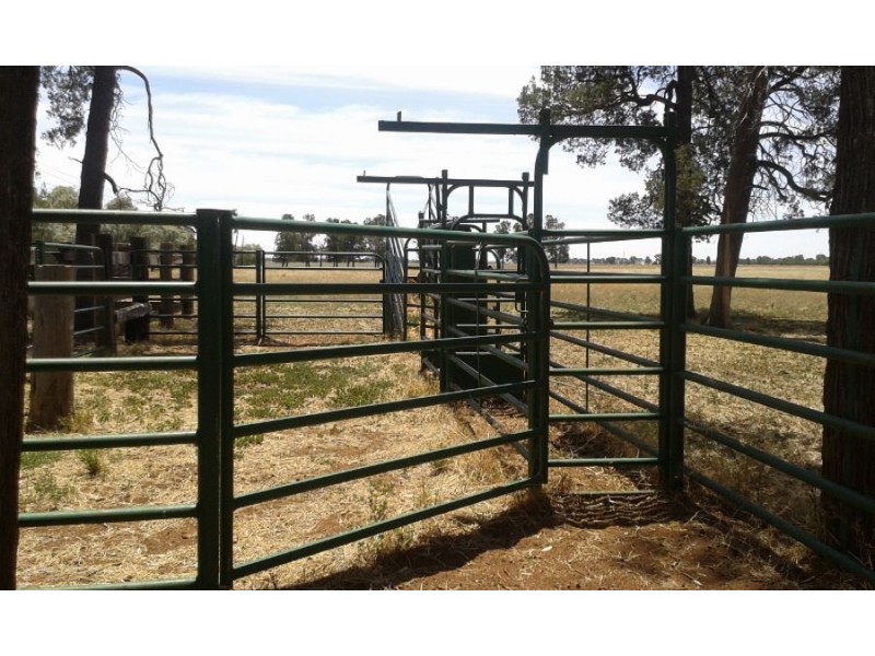 “LOCHABAR”, Finley NSW 2713