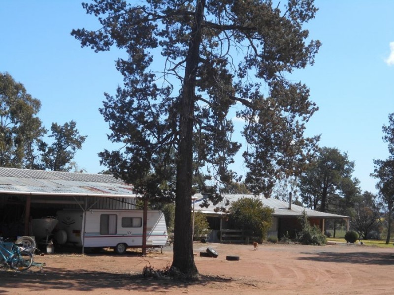 “GREEN HILLS”, Berrigan NSW 2712