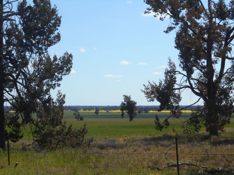 “GREEN HILLS”, Berrigan NSW 2712