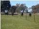“GREEN HILLS”, Berrigan NSW 2712