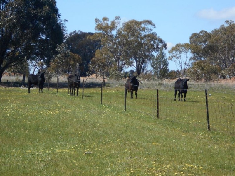 “GREEN HILLS”, Berrigan NSW 2712