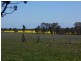 “GREEN HILLS”, Berrigan NSW 2712