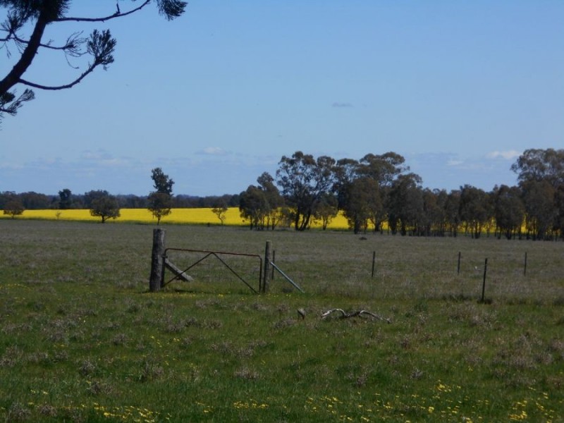 “GREEN HILLS”, Berrigan NSW 2712