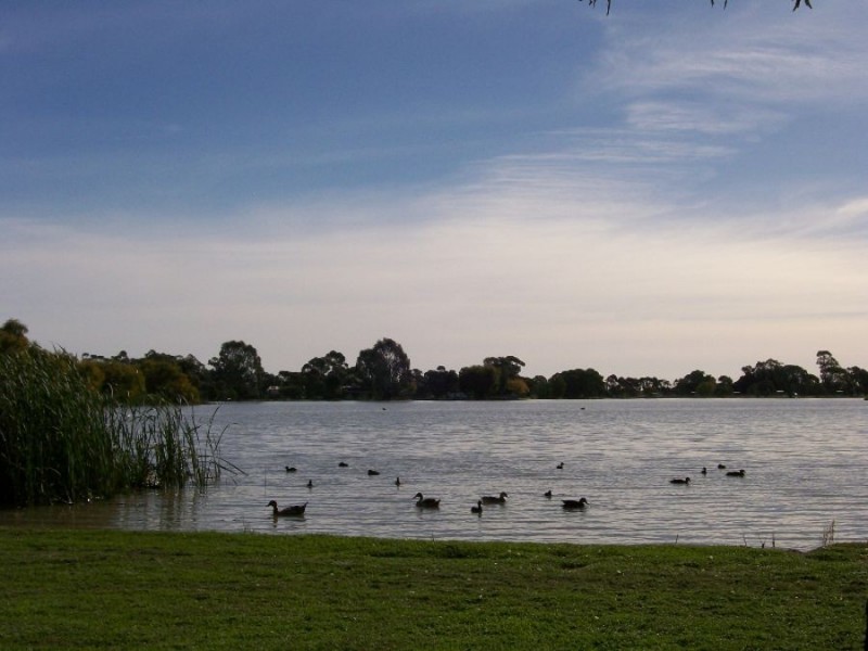 6 William St, Finley NSW 2713