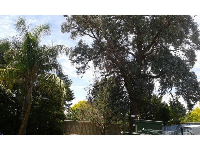 90 Tocumwal St, Finley NSW 2713