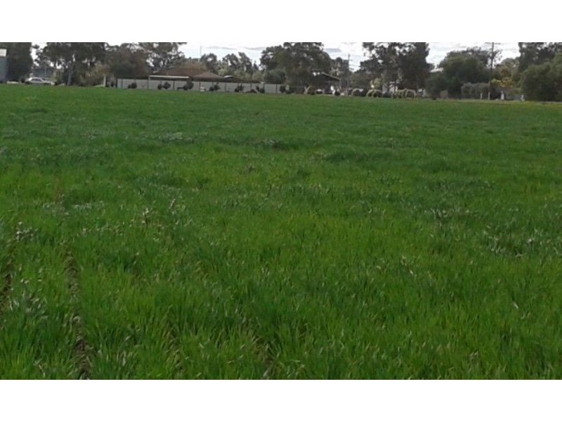 121 Budd St, Berrigan NSW 2712