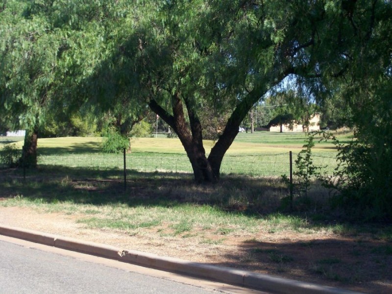 121 Budd St, Berrigan NSW 2712