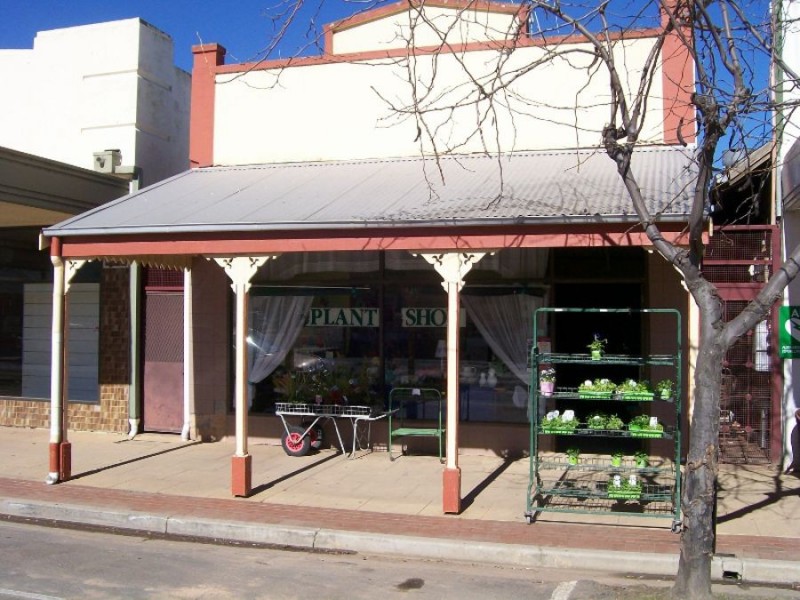 42 Chanter St, Berrigan NSW 2712