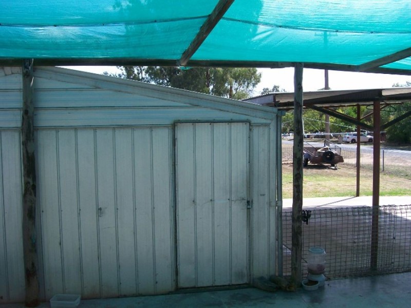60 Buller St, Oaklands NSW 2646