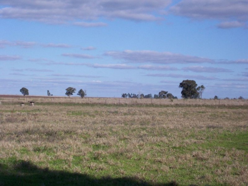 3-5 McLaren St, Oaklands NSW 2646