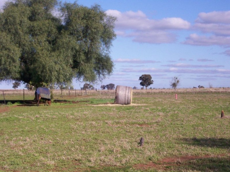 3-5 McLaren St, Oaklands NSW 2646