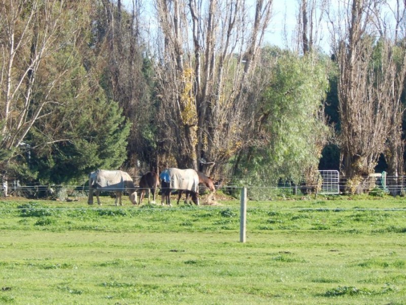 REDUCED PRICE – 2024 Watson Road Tongala Victoria 3621, Tongala VIC 3621