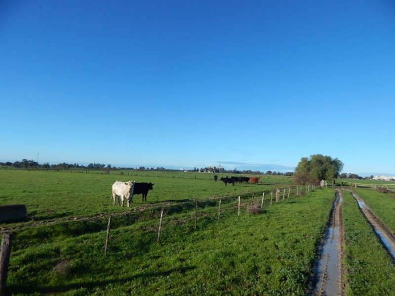 REDUCED PRICE – 2024 Watson Road Tongala Victoria 3621, Tongala VIC 3621