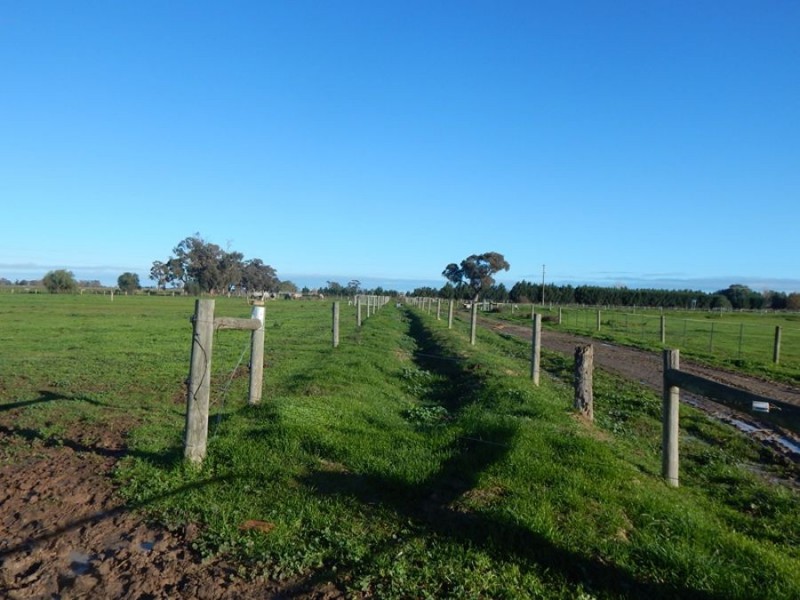 REDUCED PRICE – 2024 Watson Road Tongala Victoria 3621, Tongala VIC 3621