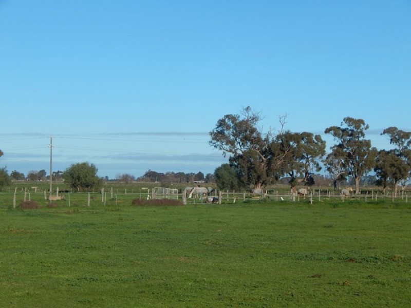 REDUCED PRICE – 2024 Watson Road Tongala Victoria 3621, Tongala VIC 3621