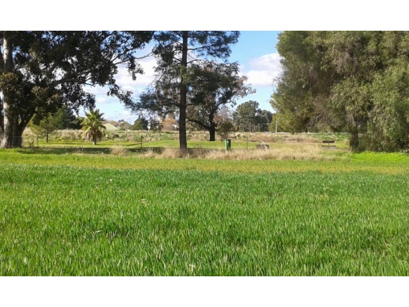 lot 121 Budd St, Berrigan NSW 2712