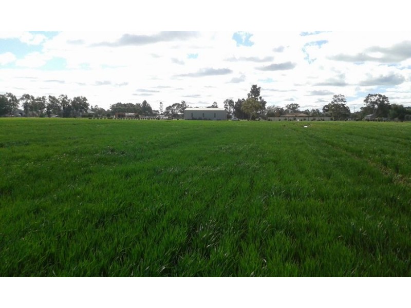 lot 121 Budd St, Berrigan NSW 2712