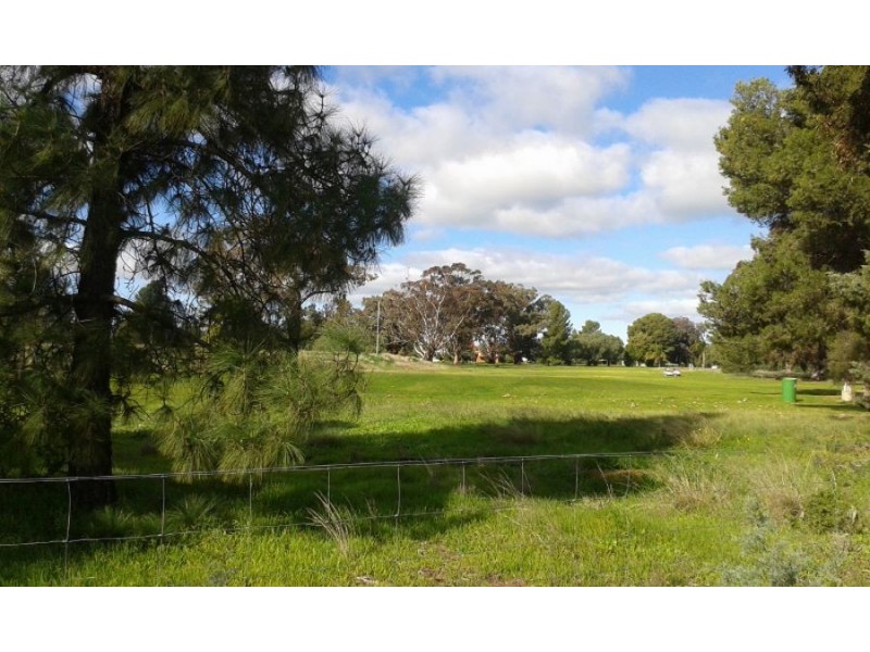lot 121 Budd St, Berrigan NSW 2712