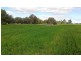 lot 121 Budd St, Berrigan NSW 2712