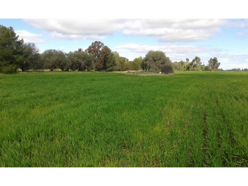 lot 121 Budd St, Berrigan NSW 2712