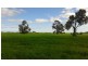 lot 121 Budd St, Berrigan NSW 2712