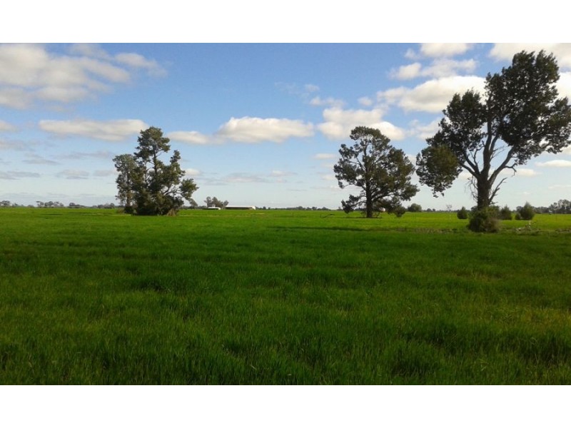 lot 121 Budd St, Berrigan NSW 2712