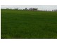 lot 121 Budd St, Berrigan NSW 2712