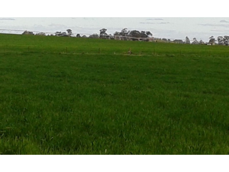 lot 121 Budd St, Berrigan NSW 2712