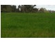 lot 121 Budd St, Berrigan NSW 2712