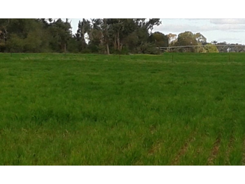 lot 121 Budd St, Berrigan NSW 2712